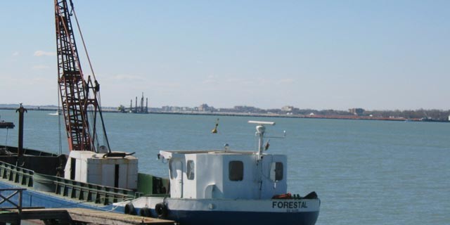 M/N Forestal